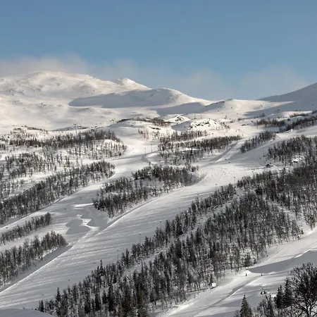 Hemsedal-toppen Av Skarsnuten Feriehus Hemsedal